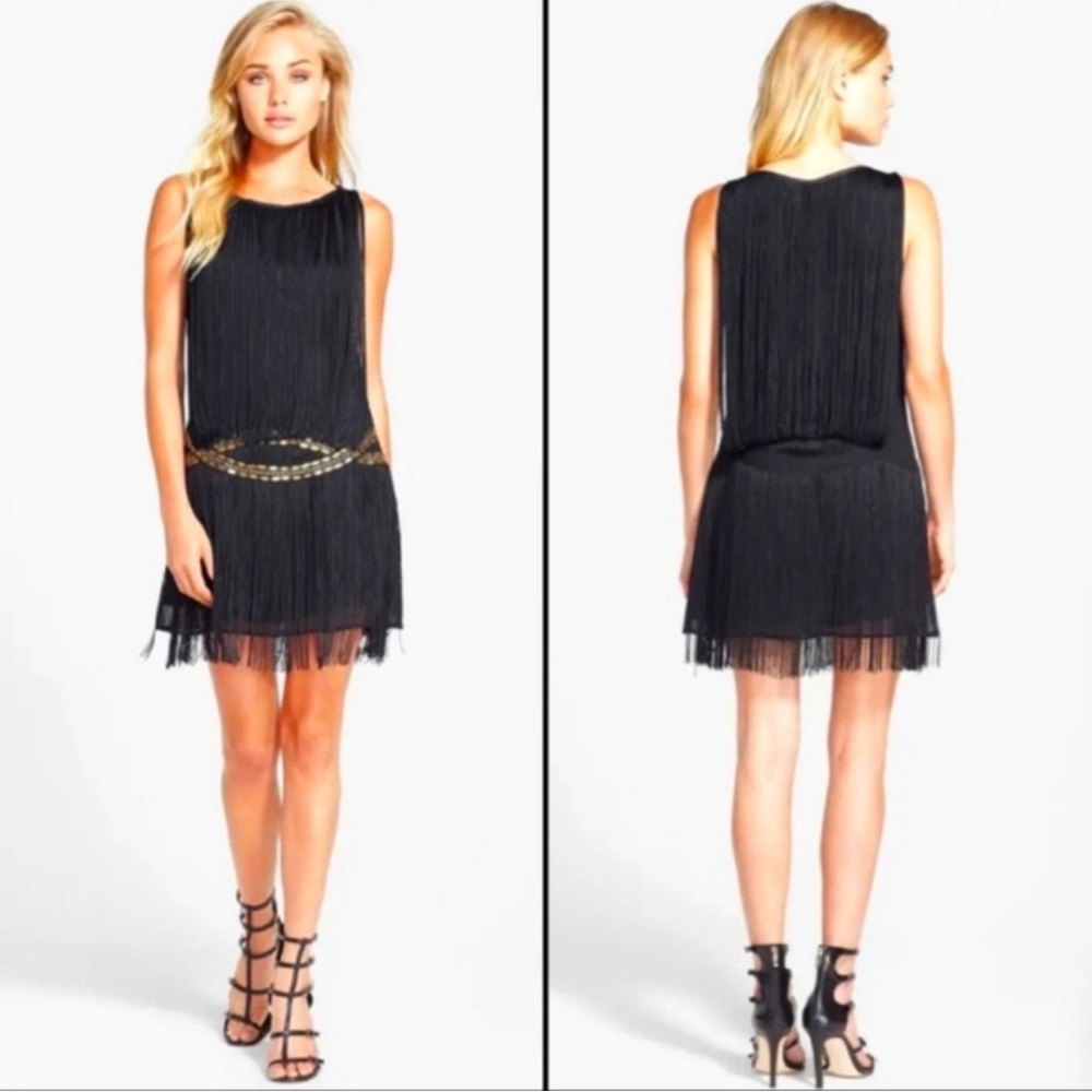 Fringe and beaded drop waist dress - Picture 3 of 5